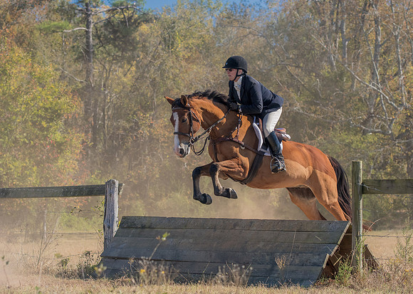 Belle Meade_228623_11-5-2016