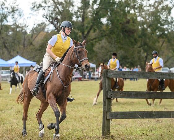 Belle Meade_20241102_421951