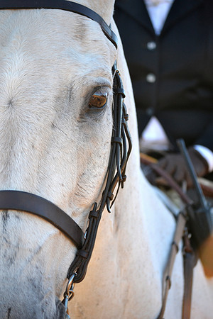 Shakerag Opening Hunt 2014