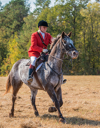 Belle Meade_228136_11-5-2016