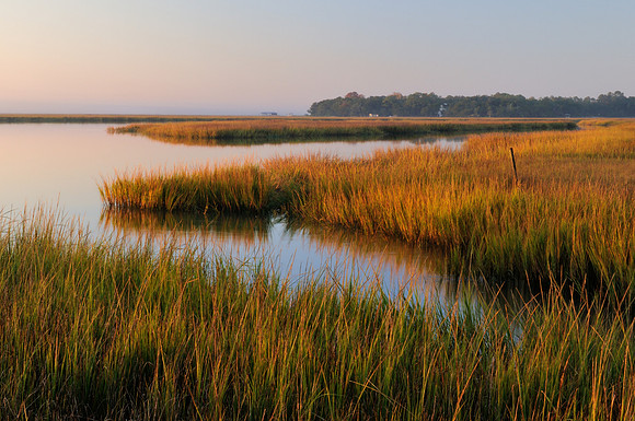 Sunrise on the Marsh