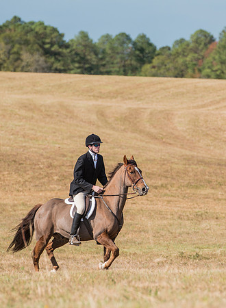 Belle Meade_227999_11-5-2016
