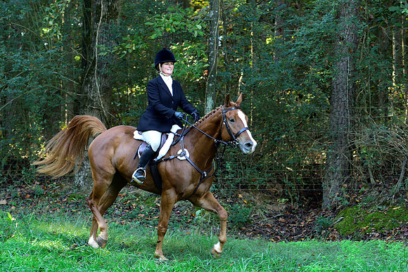 Shakerag Opening Hunt 2014