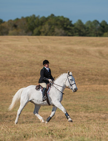 Belle Meade_228015_11-5-2016