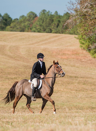 Belle Meade_228000_11-5-2016