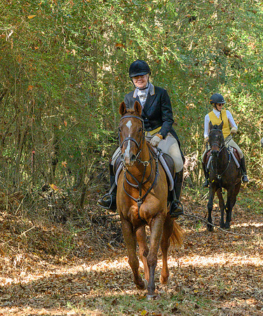 Shakerag Hounds_20231028_394956