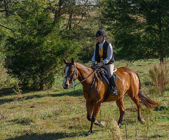 Shakerag Hounds_20231028_394904