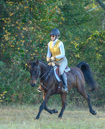 Shakerag Hounds_20231028_394826