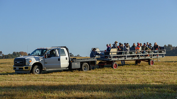 Shakerag Hounds_20231028_394798