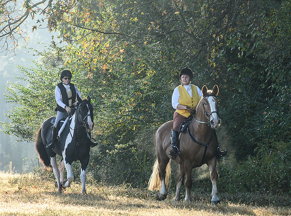 Shakerag Hounds_20231028_394793