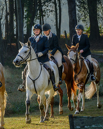 Shakerag Hounds_20231028_394718