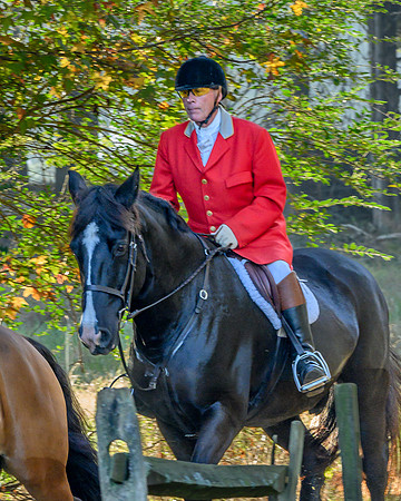 Shakerag Hounds_20231028_394711