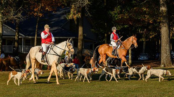 Shakerag Hounds_20231028_394692