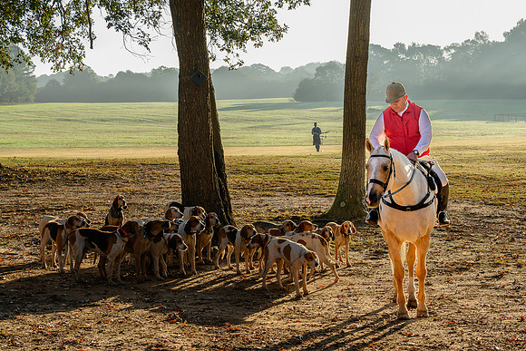 Shakerag Hounds_20231028_394674