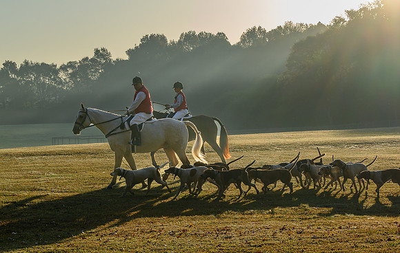 Shakerag Hounds_20231028_394651