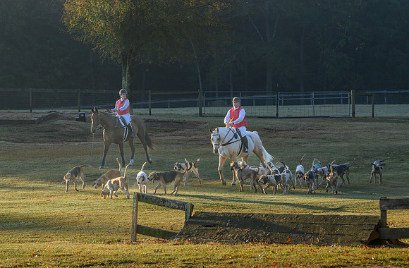 Shakerag Hounds_20231028_394647
