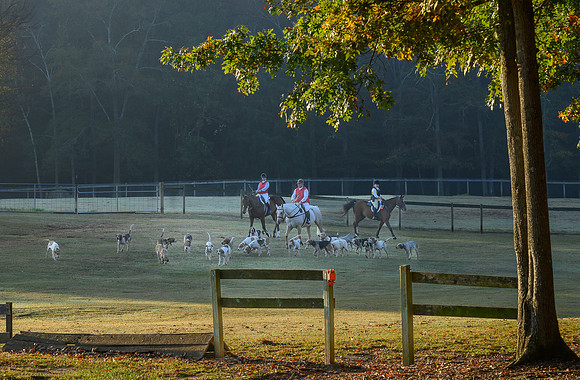 Shakerag Hounds_20231028_394644