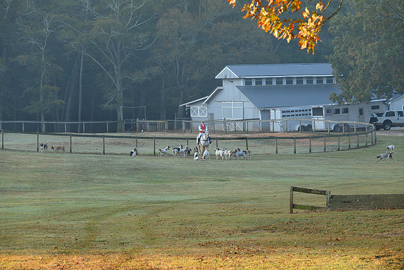 Shakerag Hounds_20231028_394588
