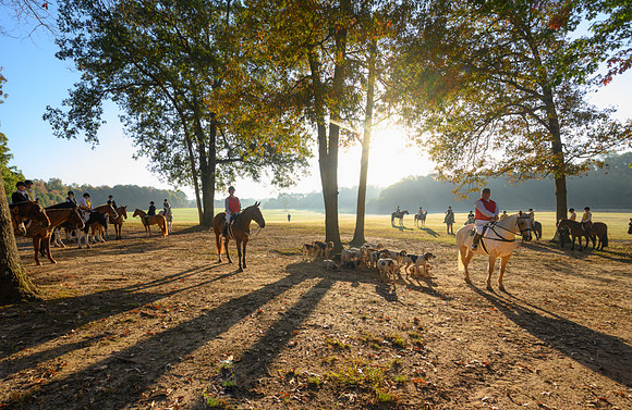 Shakerag Hounds_20231028_394470