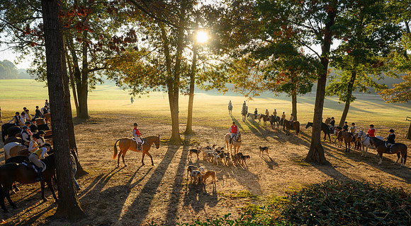 Shakerag Hounds_20231028_394460