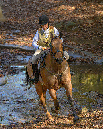 Shakerag Hounds_20231028_394315