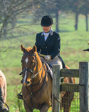 Shakerag Hounds_20231028_394290