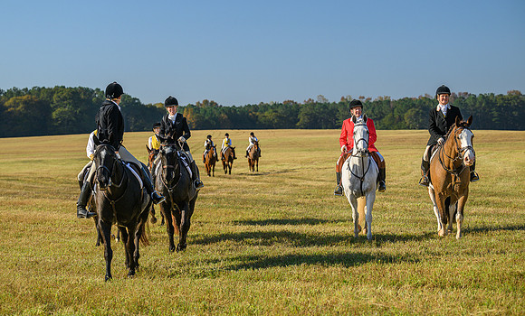 Shakerag Hounds_20231028_394231