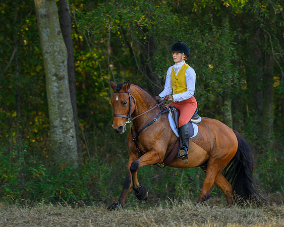 Shakerag Hounds_20231028_394217