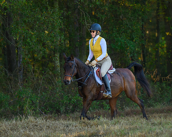 Shakerag Hounds_20231028_394213