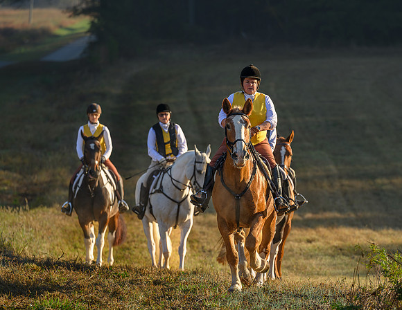 Shakerag Hounds_20231028_394192