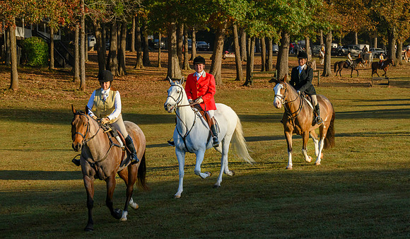 Shakerag Hounds_20231028_394126