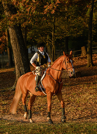 Shakerag Hounds_20231028_394021
