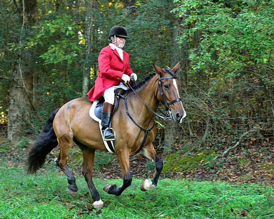 Shakerag Opening Hunt 2014