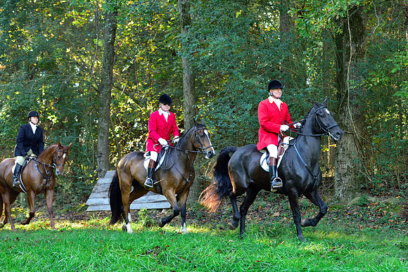 Shakerag Opening Hunt 2014