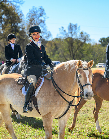 Belle Meade_20231104_395259