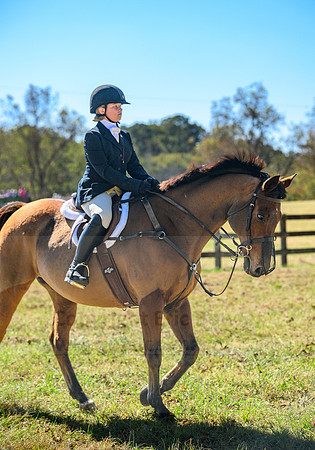 Belle Meade_20231104_395253