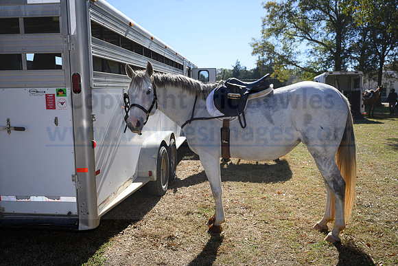 Belle Meade_20231104_395000