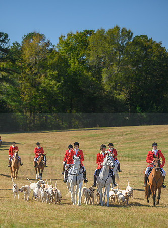 Belle Meade_20231104_396317