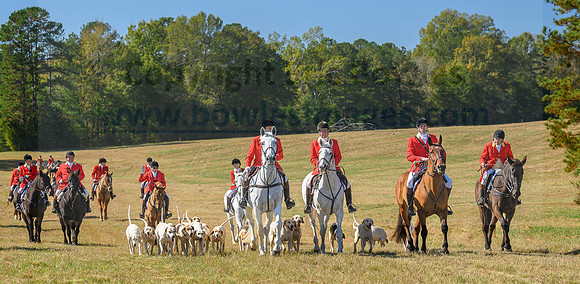 Belle Meade_20231104_396321