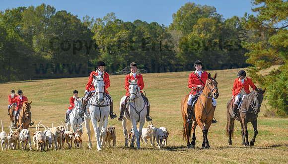 Belle Meade_20231104_396322