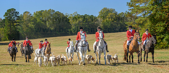 Belle Meade_20231104_396323