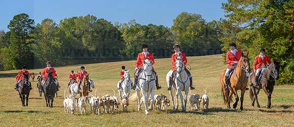 Belle Meade_20231104_396324