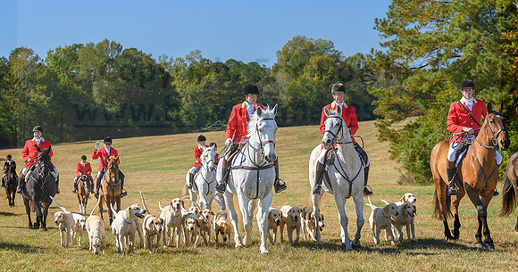 Belle Meade_20231104_396325