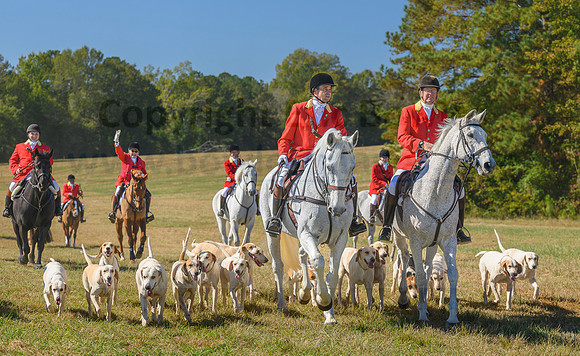 Belle Meade_20231104_396329