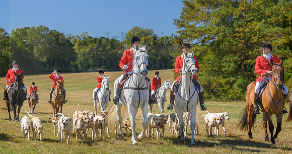 Belle Meade_20231104_396328