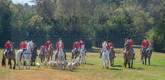 Belle Meade_20231104_396345