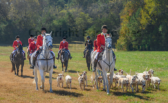 Belle Meade_20231104_396349