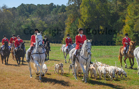 Belle Meade_20231104_396352