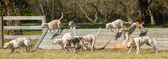Belle Meade_20231104_395099