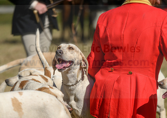 Belle Meade_20231104_395192